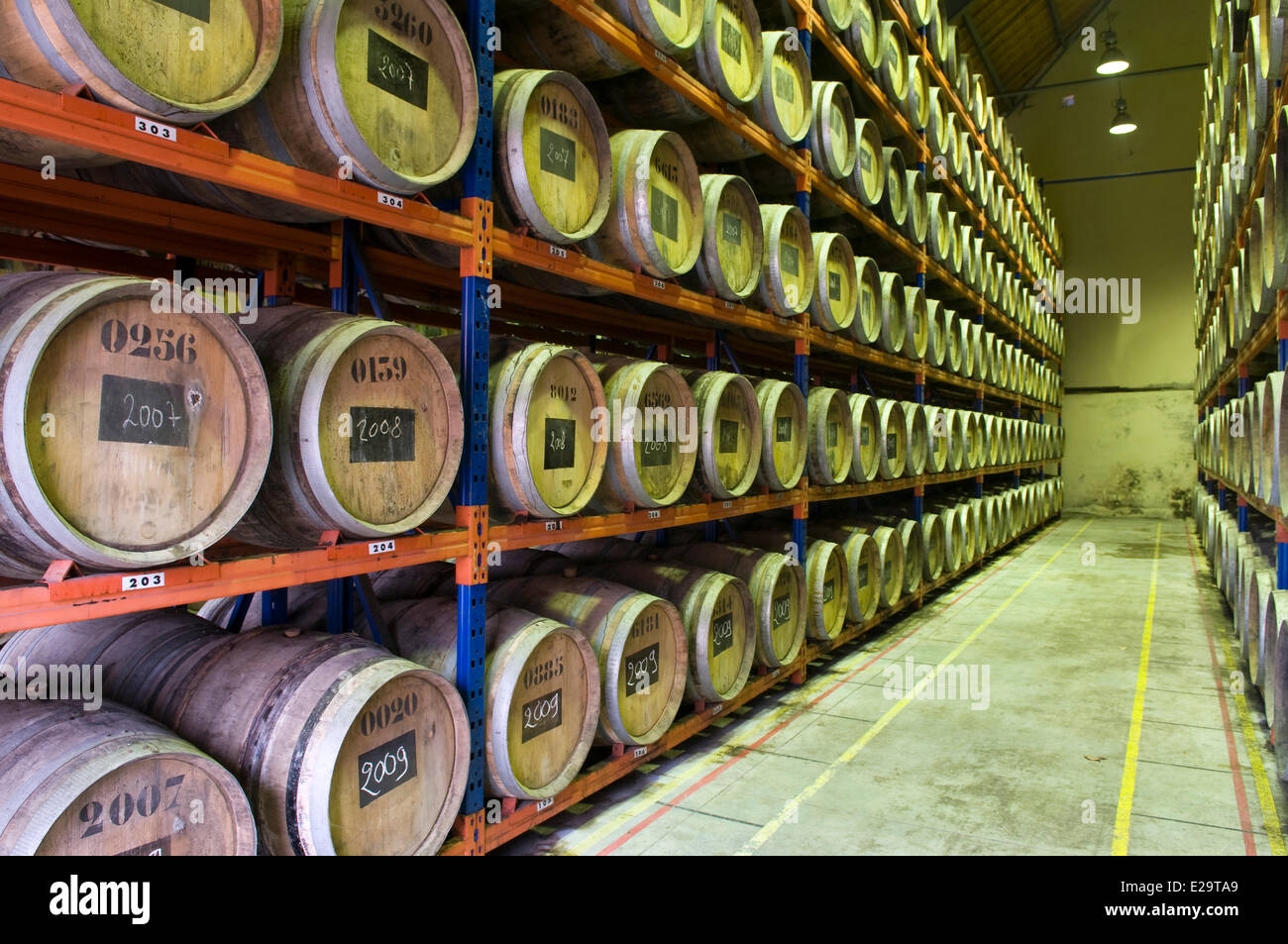 Frankreich, Jura, Arbois, Wein produzierenden Fruiterer von Arbois, gelb Weinkeller mit dreitausend 228 Liter-Fässer, die Stockfoto