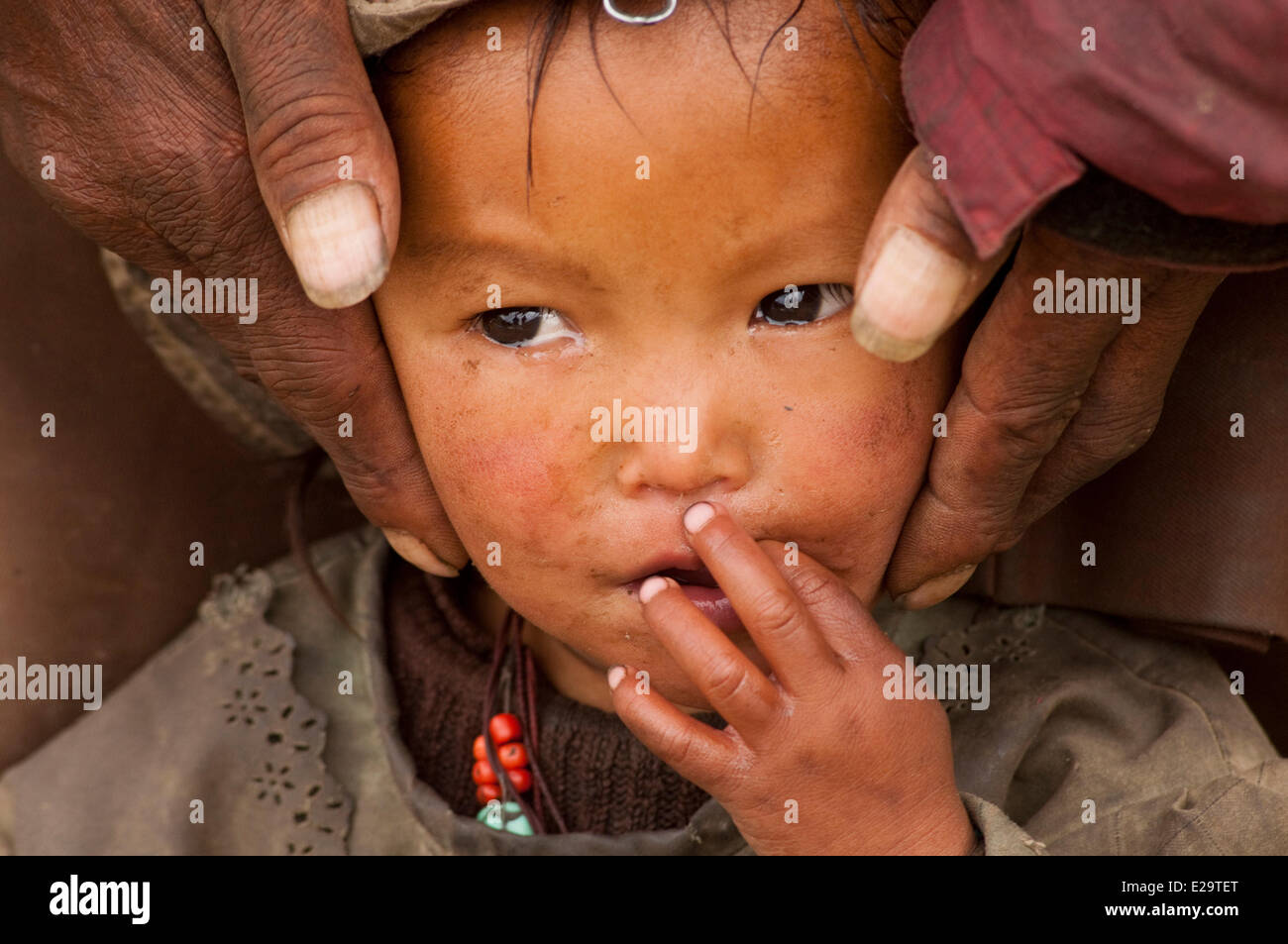 Nepal, Karnali Zone Dolpo Region, Charkha Stockfoto