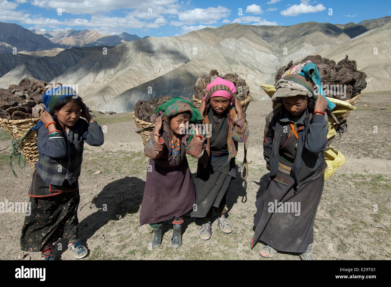 Nepal, Karnali Zone, Dolpo Region, Saldang, Kinder bei der Arbeit des Sammelns der Kraftstoff-dungs Stockfoto
