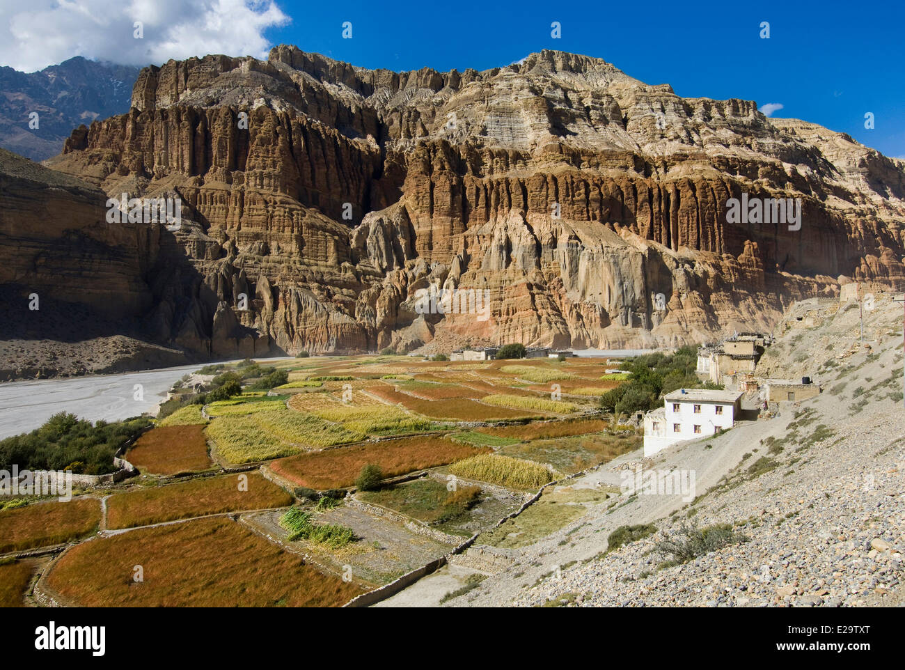 Nepal, Dhawalagiri Zone, Mustang District (ehemalige Königreich Lo), Chuksang Stockfoto