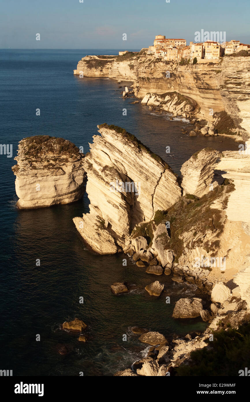 Frankreich, Corse du Sud, Häuser der Altstadt von Bonifacio thront auf dem kalkhaltigen Hügel und der berühmte Grain de Sable (Diu Grossu) Stockfoto