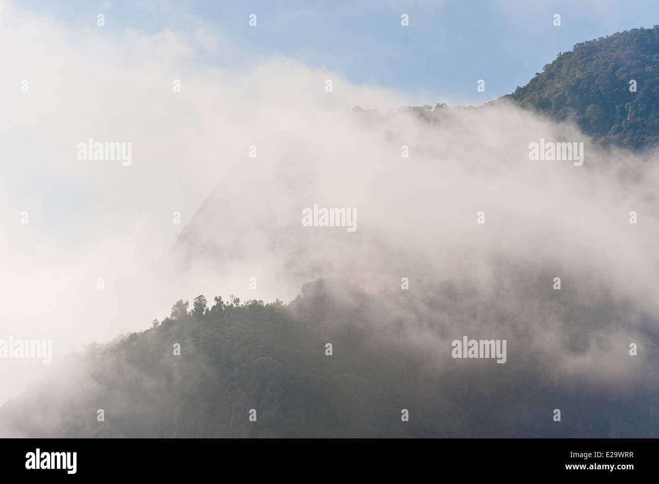 Indien, Tamil Nadu Zustand, Blick ins neblige Tal aus der Nilgiri Mountain Railway (NMR), im Juni 1899 eröffnet als aufgeführt Stockfoto