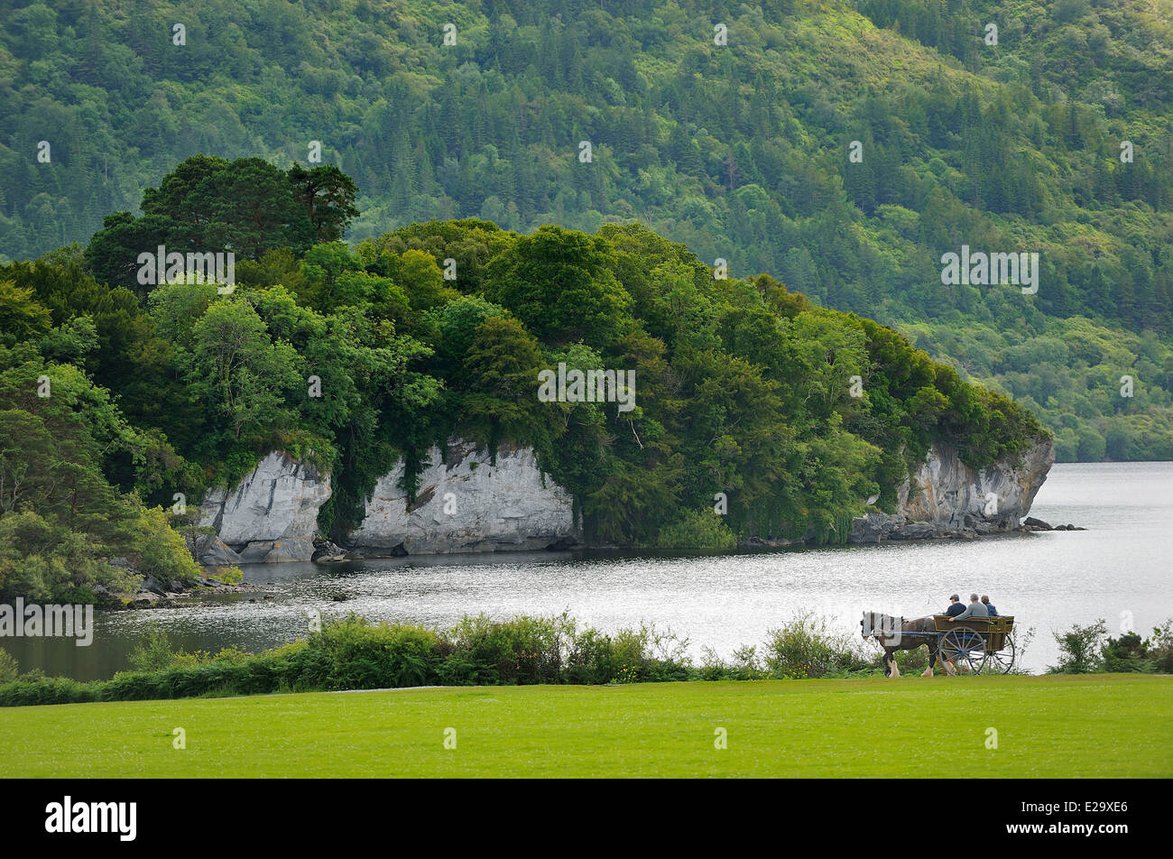 Irland, County Kerry, Killarney, Muckross Gärten Stockfoto