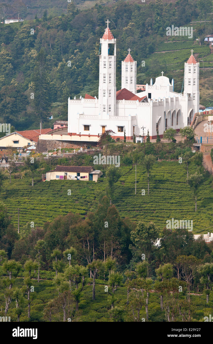 Indien, Tamil Nadu State, das Dorf Kotagiri in den Nilgiri Hills (blaue Berge) Stockfoto