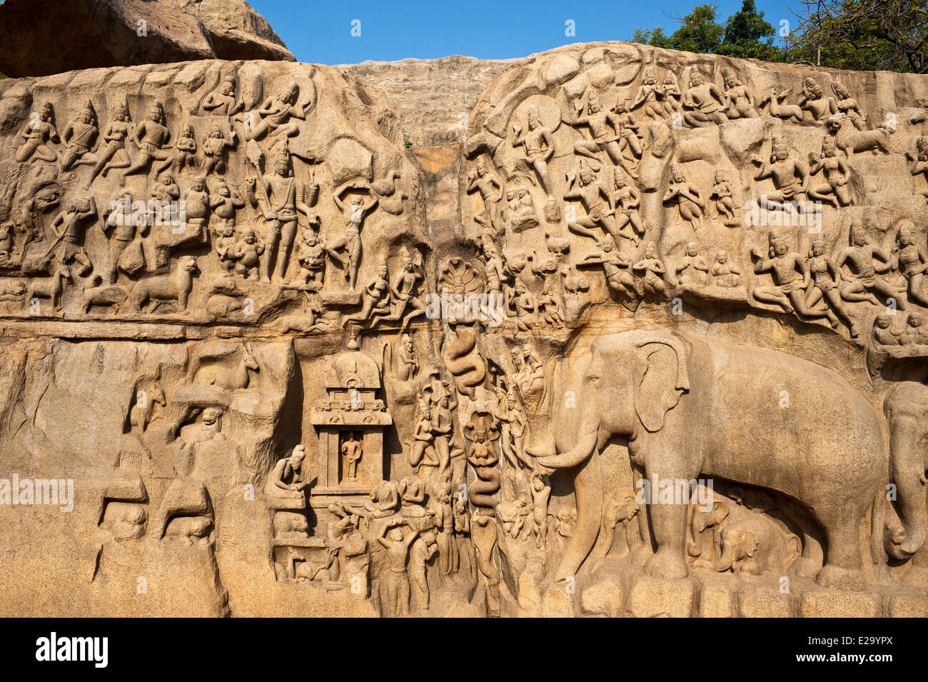 Indien, Tamil Nadu Zustand, Mahabalipuram (oder Mamallapuram), die Herabkunft des Ganges (auch genannt die Buße von Arjuna), 7. Stockfoto