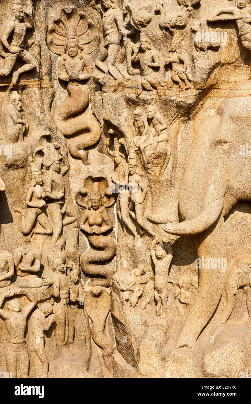 Indien, Tamil Nadu Zustand, Mahabalipuram (oder Mamallapuram), die Herabkunft des Ganges (auch genannt die Buße von Arjuna), 7. Stockfoto