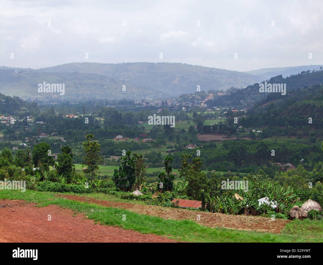 Panoramablick in den Virunga-Bergen in Uganda (Afrika) Stockfoto