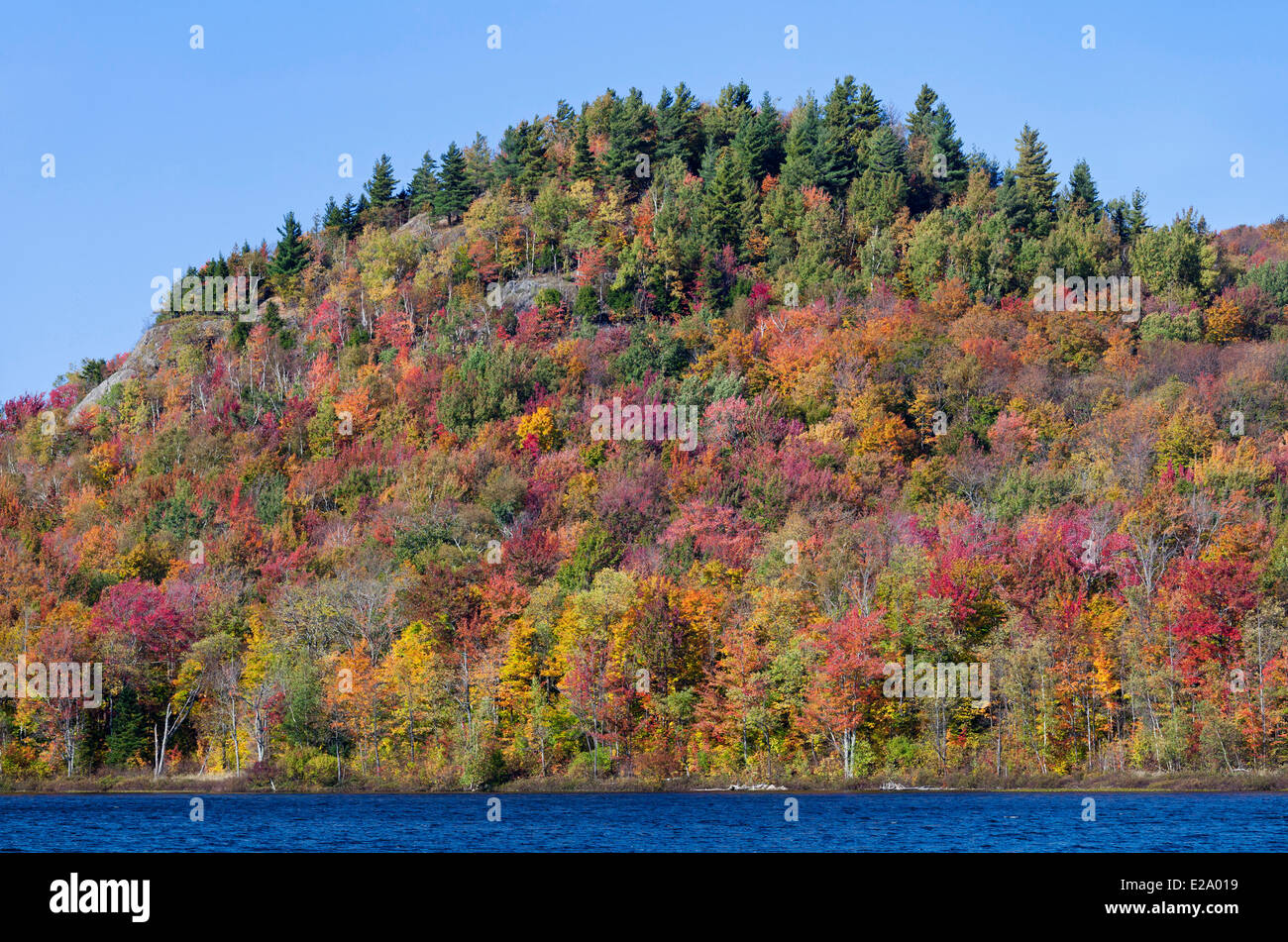 Kanada, Quebec Provinz Eastern Townships oder Estrie, der Parc national du Mont-Orford, Herbstlaub und See Stockfoto