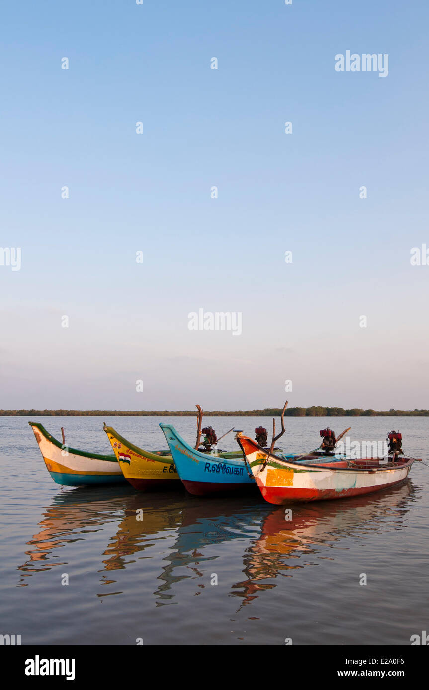 Indien, Bundesstaat Tamil Nadu, Angelboote/Fischerboote im Gesundheitstourismus hat eines der größten Mangrovenwälder, natürliche Schilde schützen Stockfoto