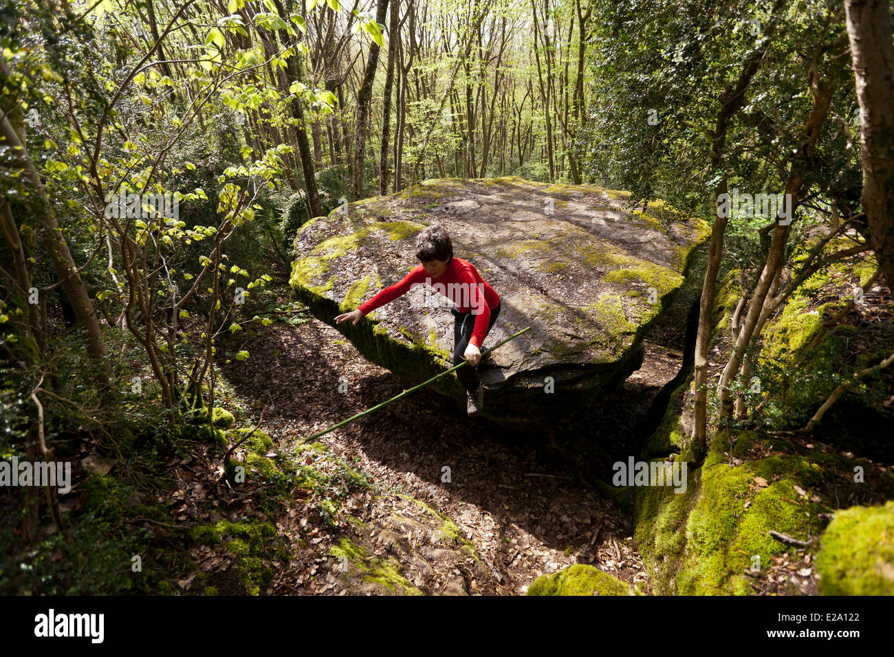 Frankreich, Saone et Loire, Etrigny, den Felsen von der Table Ronde in den Wald zu Füßen des Rocher d'Anjoux Stockfoto