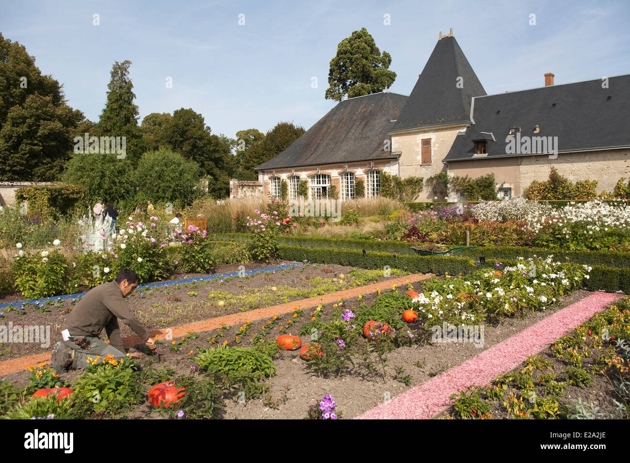 Frankreich, Loir et Cher, Gemüsegarten von Schloss Cheverny Stockfoto
