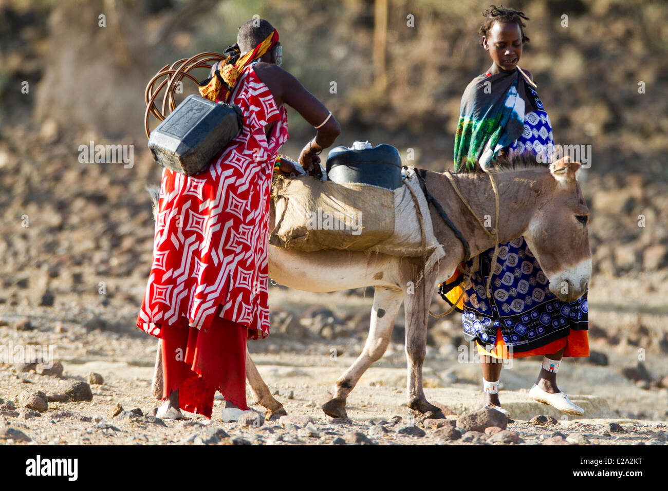 Kenia, Rift Valley, Lake Magadi, Massai-Frauen und ihre Esel Stockfoto