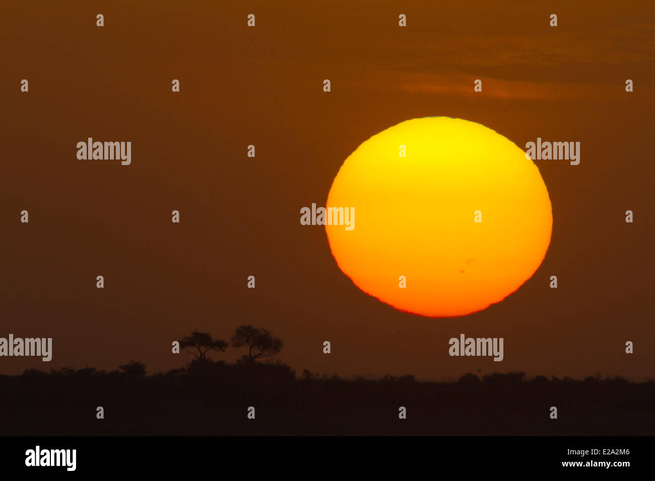 Kenia, Masai Mara National Reserve, Sonnenuntergang Stockfoto