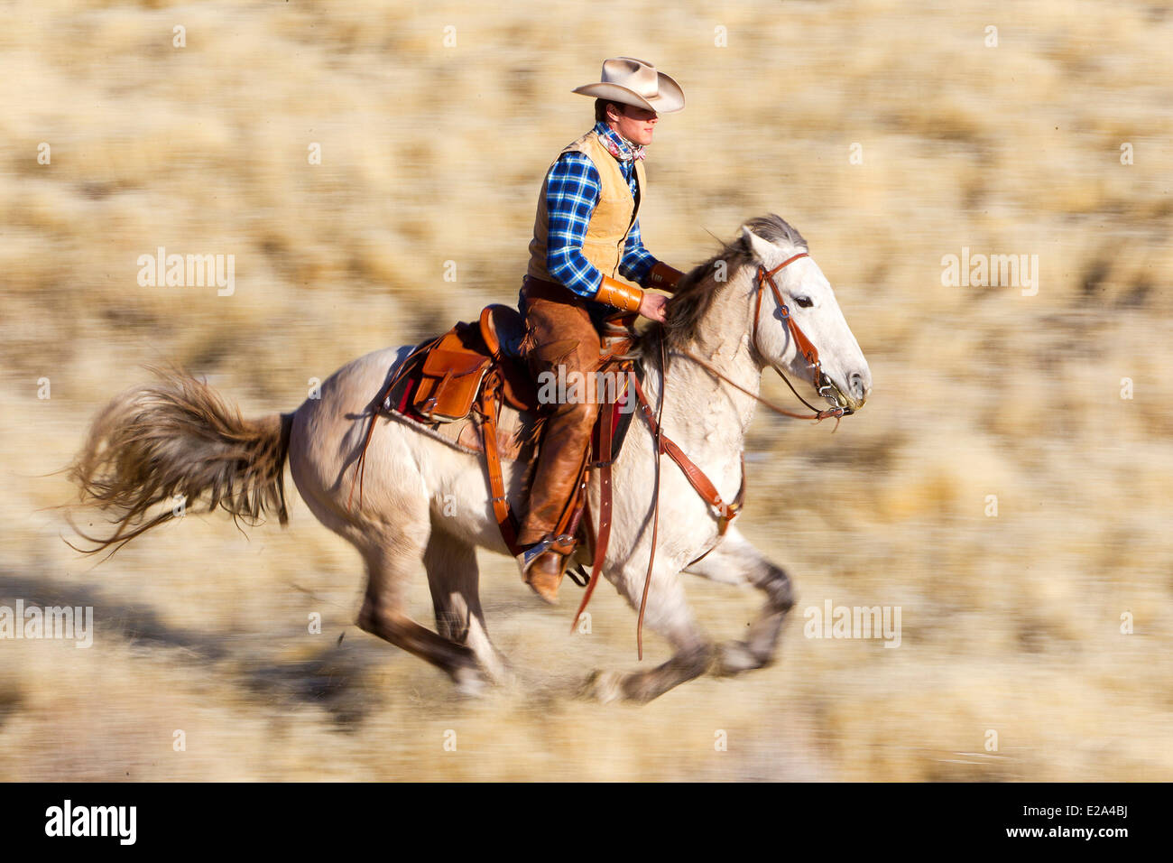 USA, Wyoming, Shell, das Versteck Guest Ranch, Cowboy, Edward Stockfoto