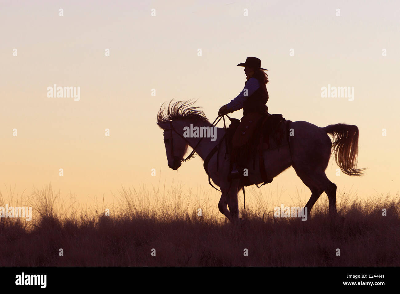 USA, Wyoming, Shell, das Versteck Guest Ranch, Cowboy Stockfoto