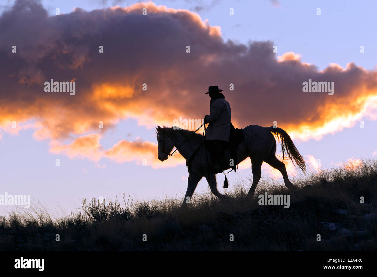 USA, Wyoming, Shell, das Versteck Guest Ranch, Cowboy Stockfoto