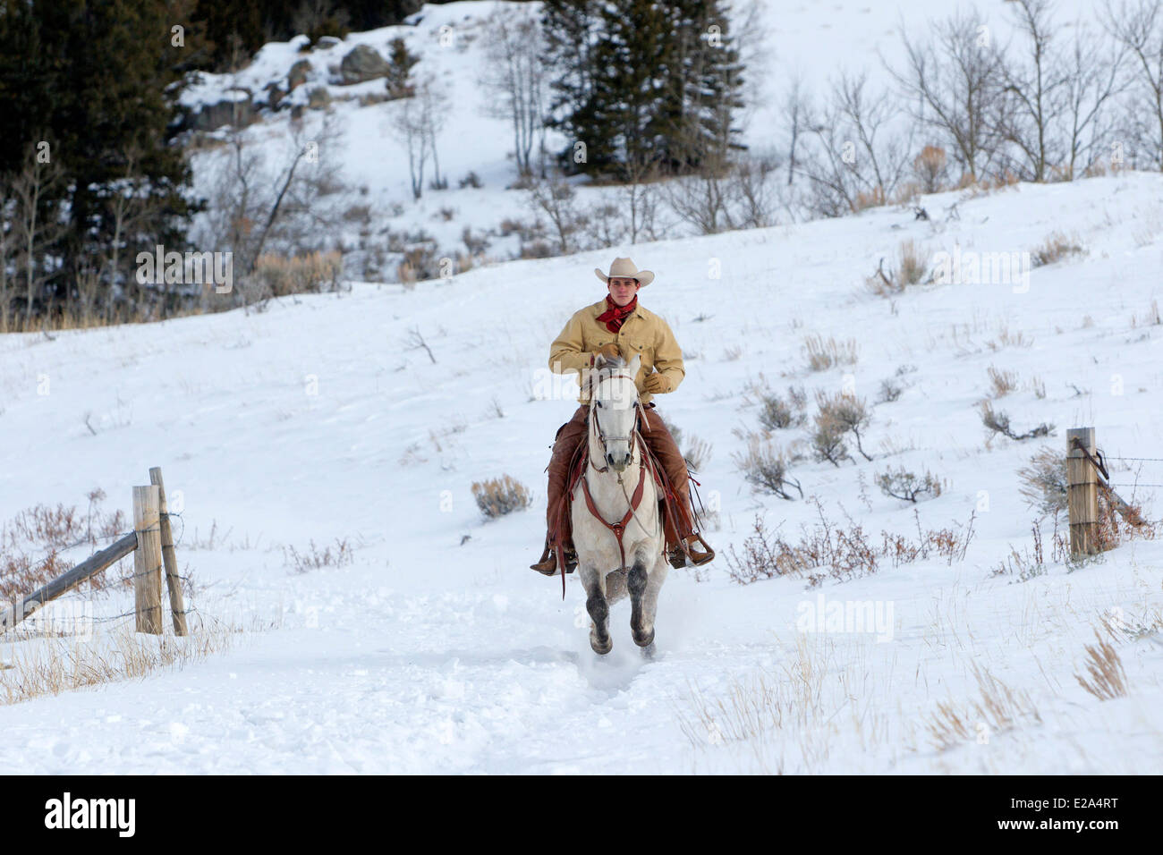 USA, Wyoming, Shell, das Versteck Guest Ranch, Cowboy, Edward Stockfoto