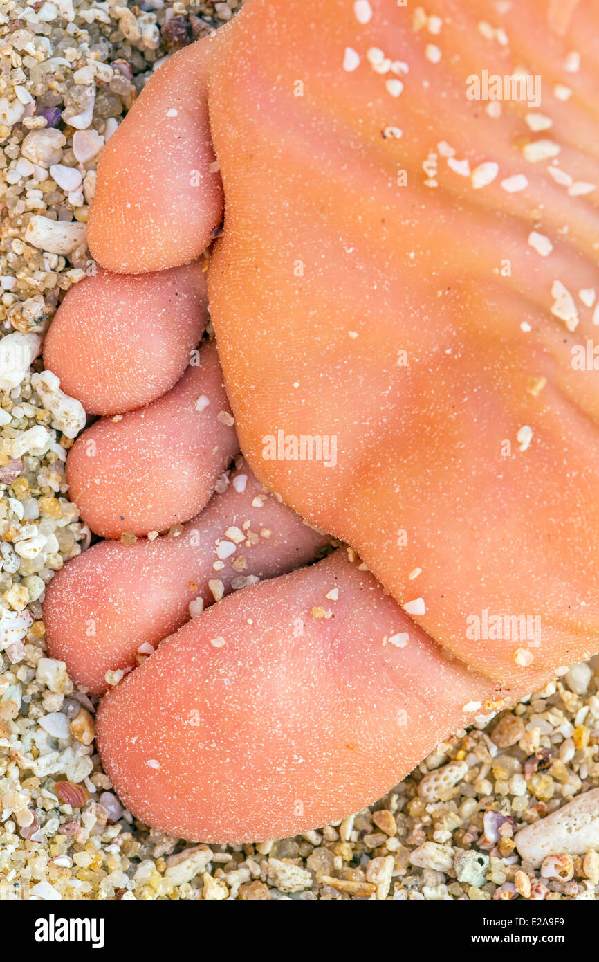 Nahaufnahme einer Frau Fuß und Zehen mit Sand am Strand. Stockfoto