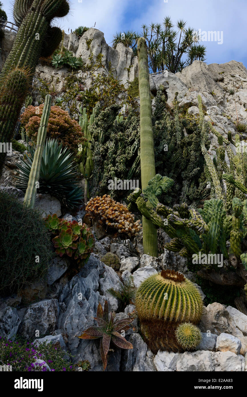 Monaco exotischen garten Fotos und Bildmaterial in hoher Auflösung