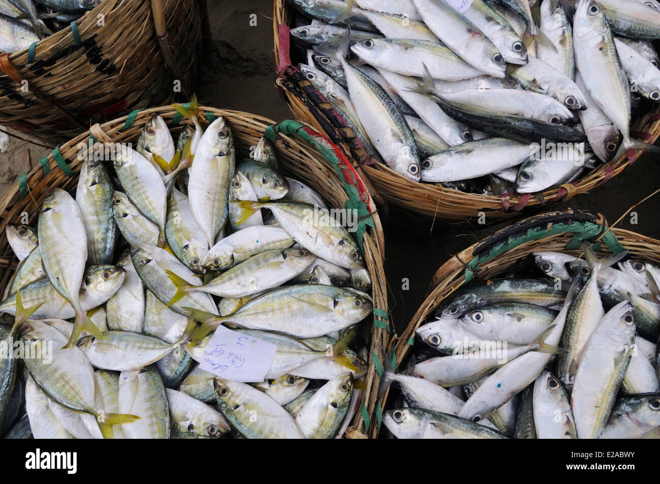 Vietnam, Ba Ria-Vung Tau Province, Long Hai Fischmarkt am Strand Stockfoto