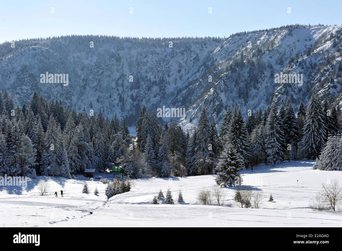 Frankreich, Haut-Rhin, Hautes-Vosges, Schnee bedeckte Wald in der Nähe des Lac Blanc, Col du Calvaire Stockfoto