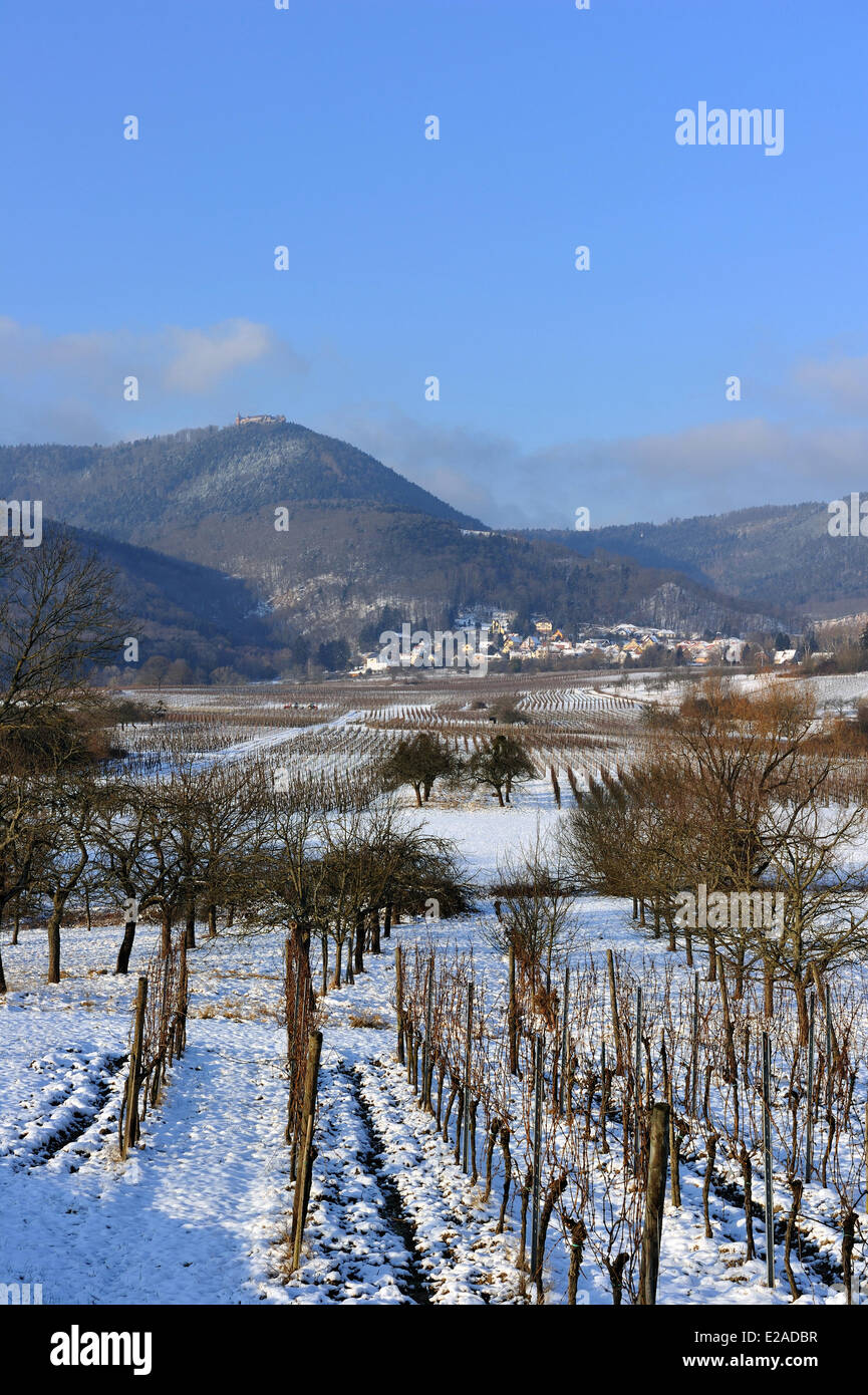 Frankreich, Bas Rhin, elsässische Ebene unter dem Schnee in der Nähe von Obenai mit dem Kloster Mont Sainte Odile auf der Rückseite Stockfoto