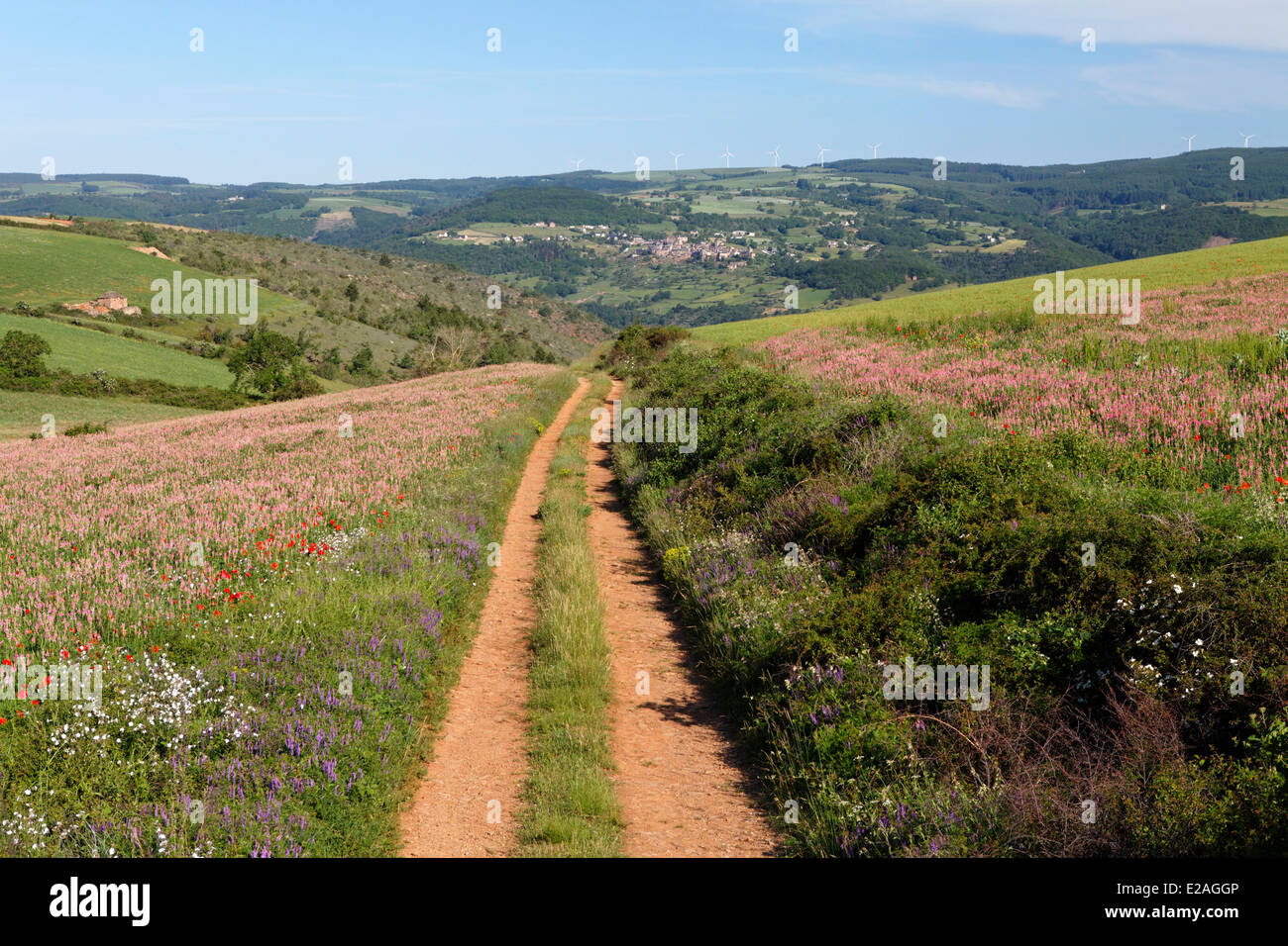 Frankreich, Aveyron, Parc Naturel Regional des Grands Causses (natürlichen regionalen Park der Grands Causses), Wanderweg auf der Mesa, Stockfoto