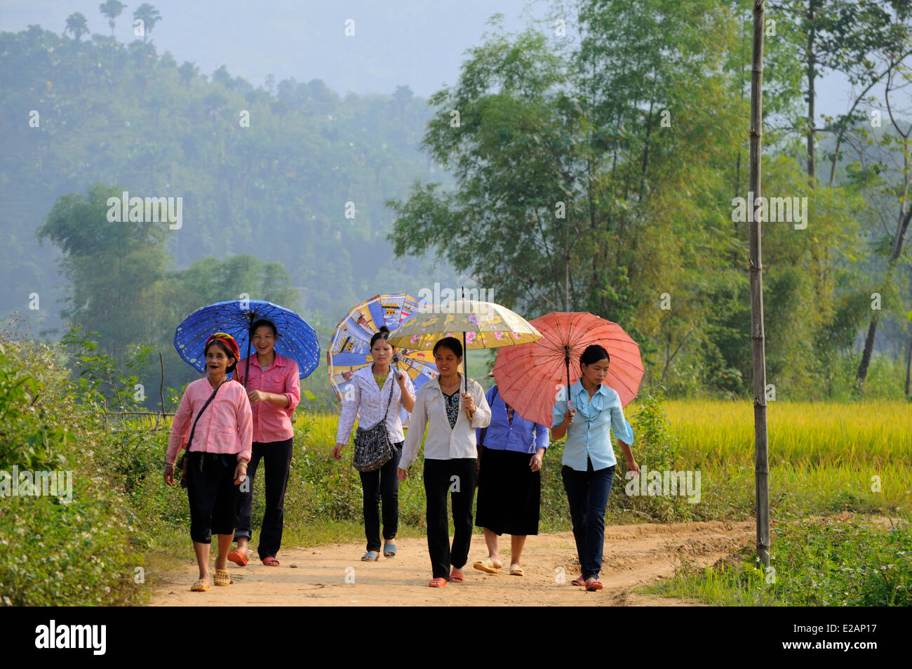 Vietnam, Lao Cai Provinz, in der Nähe von Bac Ha, schwarze Thais Frauen Reisfelder Stockfoto