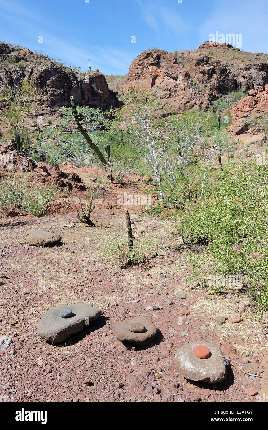 Mexiko, Baja California Sur State Mulege Umgebung, Canyon La Trinidad, Cochimi Inder Schleifsteine Stockfoto