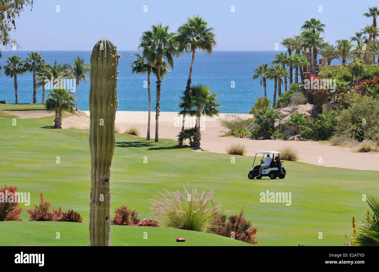 Mexiko, Baja California Sur State, Los Cabos, Palmilla Golfplatz Stockfoto