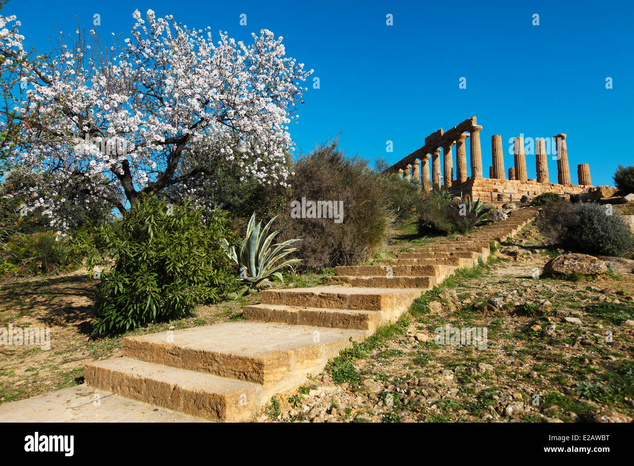 Italien, Sizilien, Agrigento, Weltkulturerbe von der UNESCO zum Tal der Tempel, Tempel der Juno Stockfoto