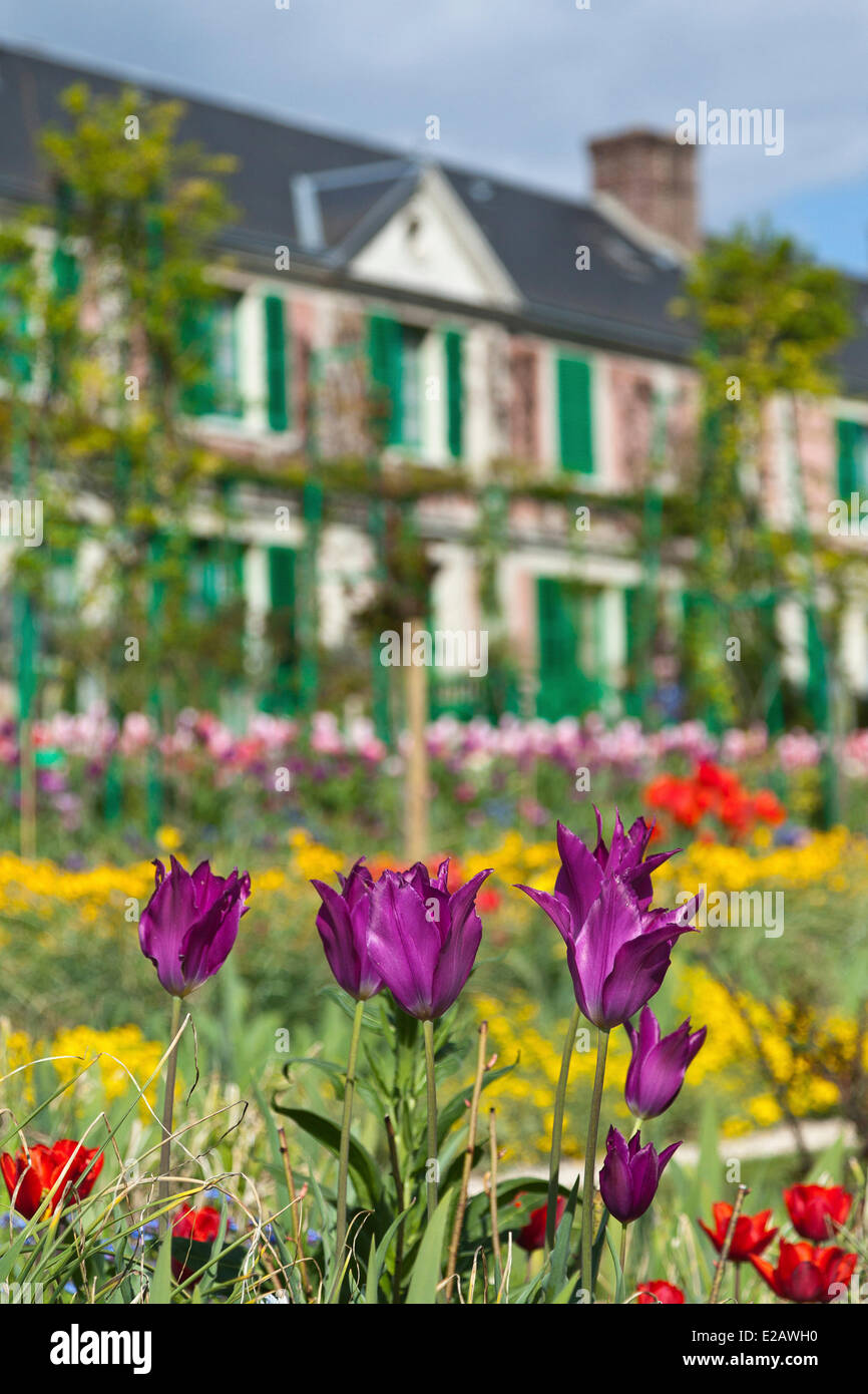 Frankreich, Eure, Giverny, Claude Monet Stiftung, Gärten von Monets Haus, Tulpen im Vordergrund Stockfoto
