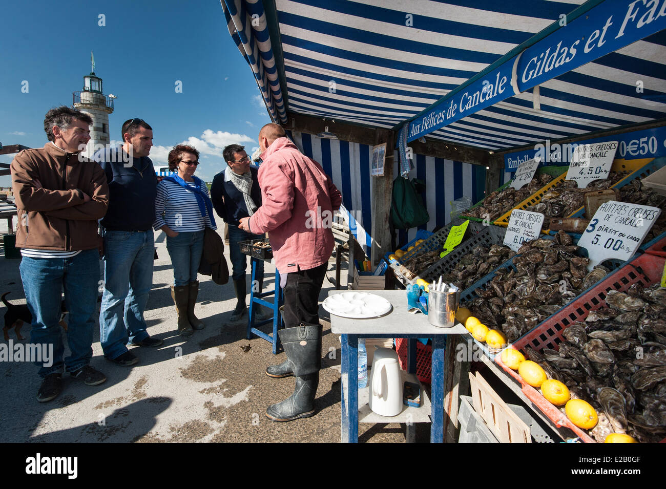 Frankreich, Ille et Vilaine, Côte Emeraude (Smaragdküste), Cancale, Austern Markt am Hafen Stockfoto