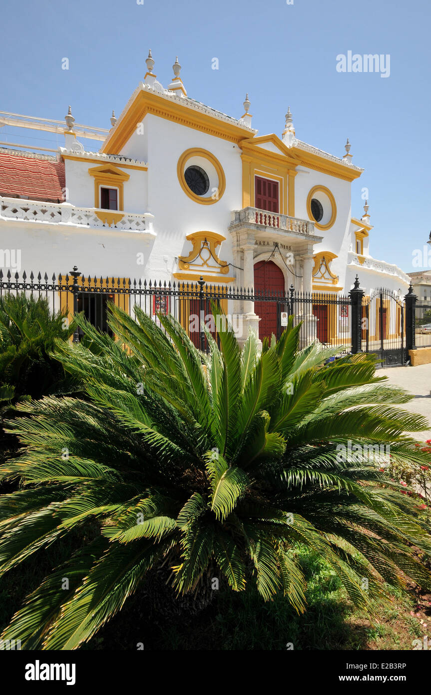 Spanien, Andalusien, Sevilla, Plaza de Toros, Maestranza Stierkampfarena aus dem 18. Jahrhundert barocke Sevilla Stockfoto