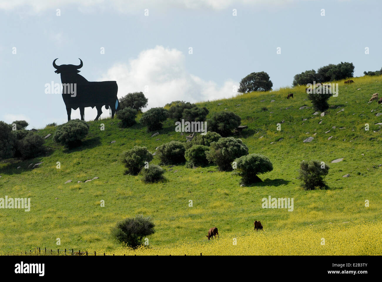 Spanien, Andalusien, giant Bull Marke Silhouette Osborne in einem Feld Stockfoto