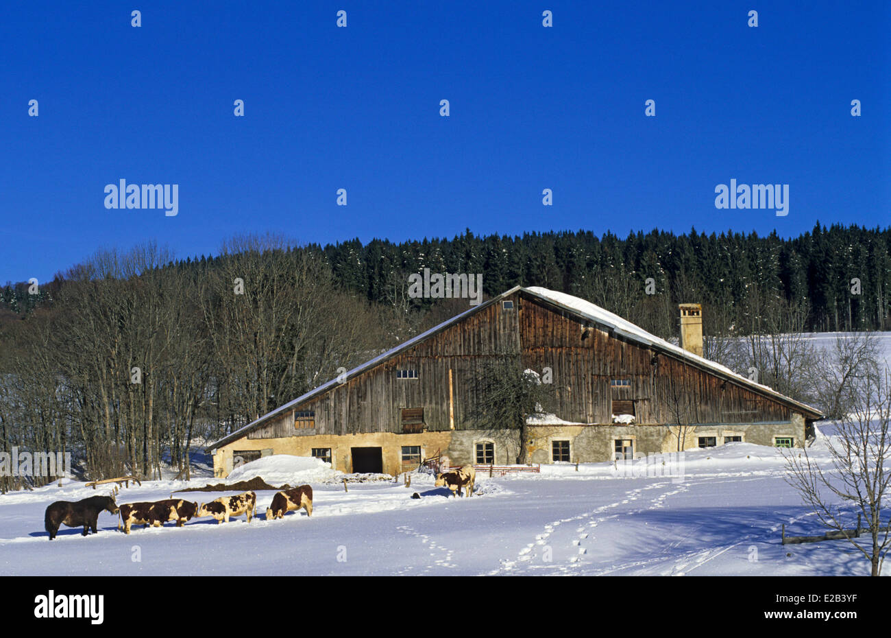 Frankreich, Doubs, Verrieres de Joux, Ferme des Granges Michel im Winter Stockfoto