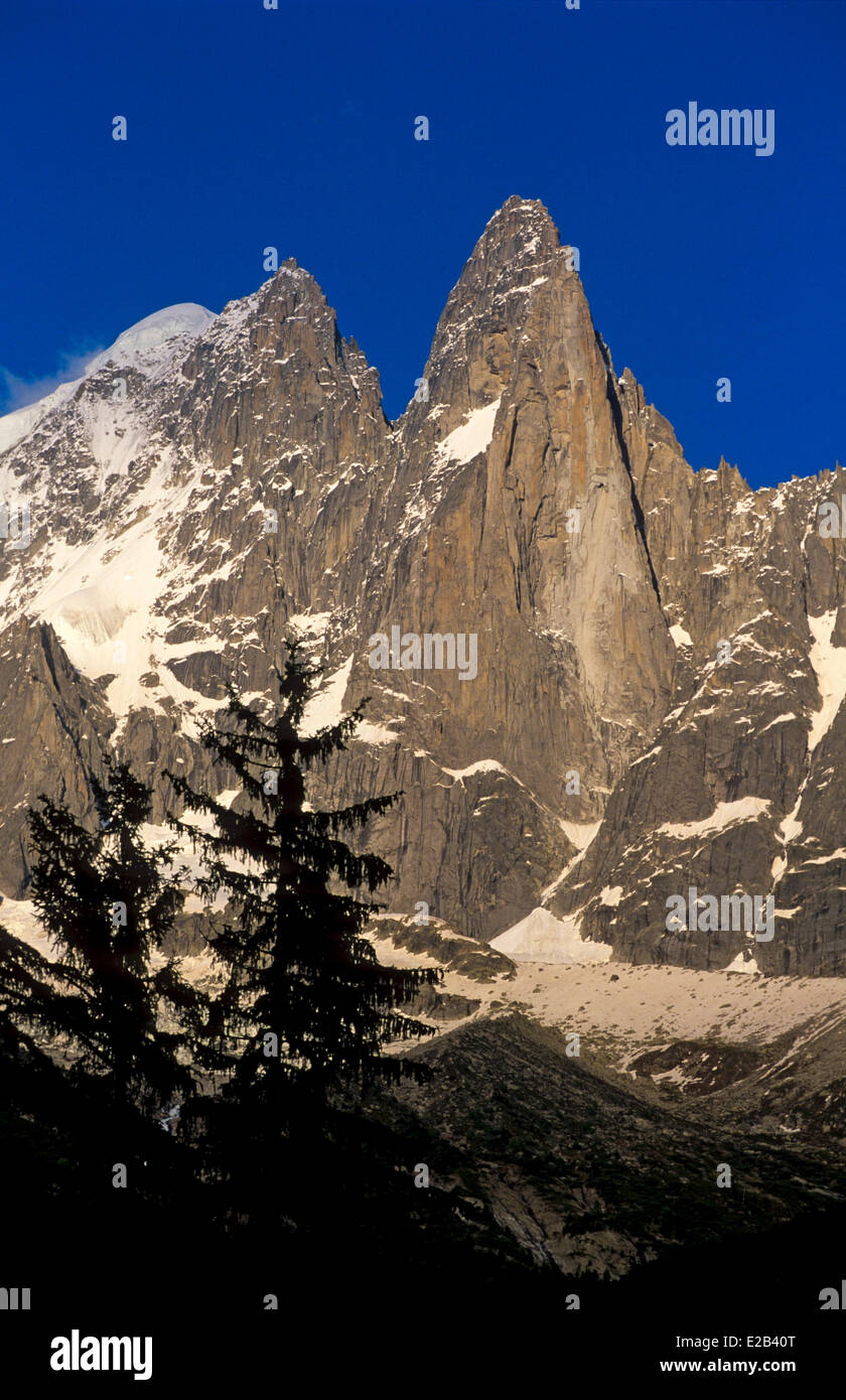Frankreich, Haute Savoie Mont Blanc Massivs, Chamonix, Aiguillle Verte (4122 m) et Drus von Les Praz Stockfoto