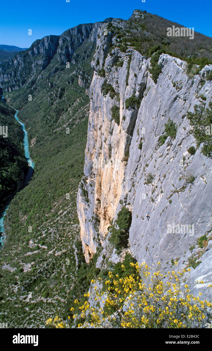 Frankreich, Alpes de Hautes Provence, Gorges du Verdon, La Palud Sur Verdon, Fluss Verdon und Escales Klippen Stockfoto