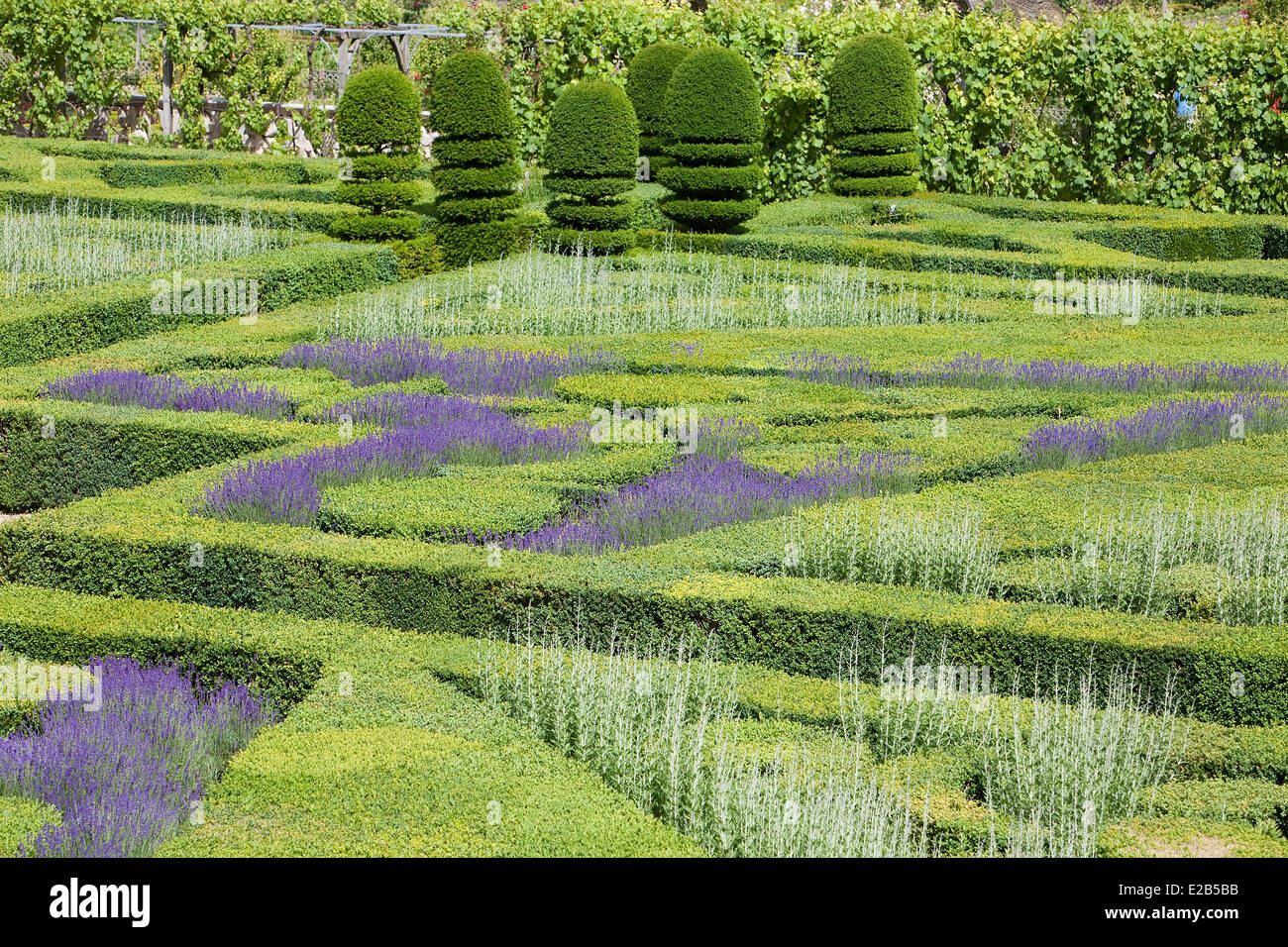 Frankreich, Indre et Loire, Loire-Tal, aufgeführt als Weltkulturerbe der UNESCO, Villandry, Chateau de Villandry Gärten, Eigentum des Stockfoto