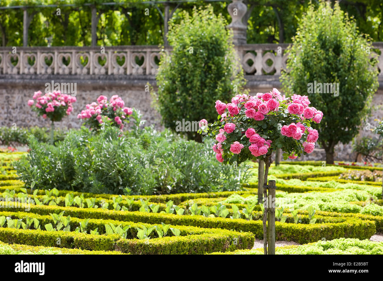 Frankreich, Indre et Loire, LoireTal, aufgeführt als Weltkulturerbe