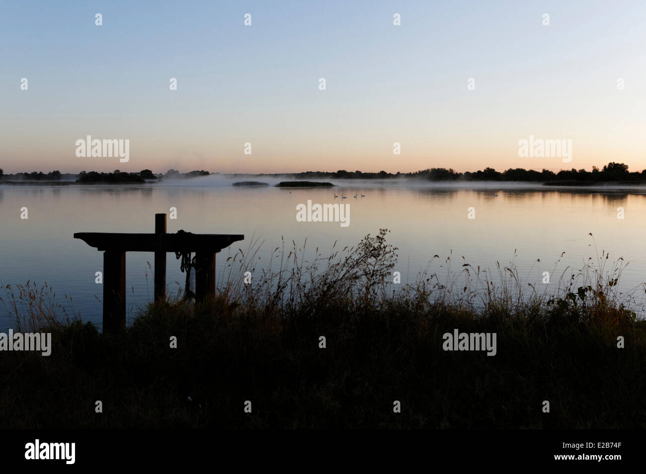 Frankreich, Indre, Berry, frühen Morgenstunden Parc Naturel Regional De La Brenne (natürlichen regionalen Park von La Brenne) Stockfoto