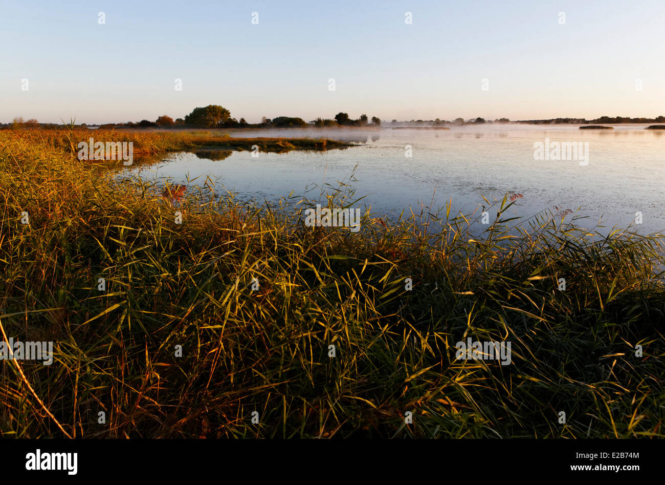 Frankreich, Indre, Berry, frühen Morgenstunden Parc Naturel Regional De La Brenne (natürlichen regionalen Park von La Brenne) Stockfoto