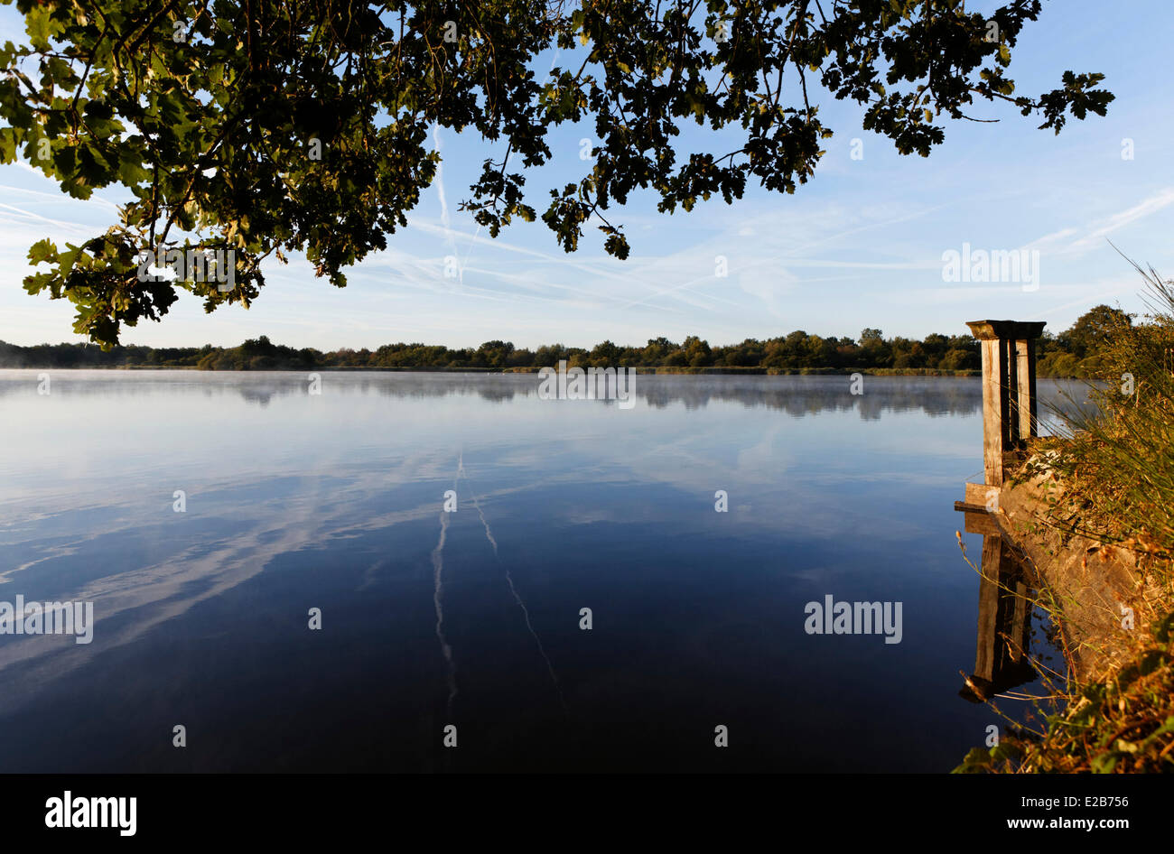 Frankreich, Indre, Berry, Etang Rousseau Parc Naturel Regional De La Brenne (natürlichen regionalen Park von La Brenne) Stockfoto