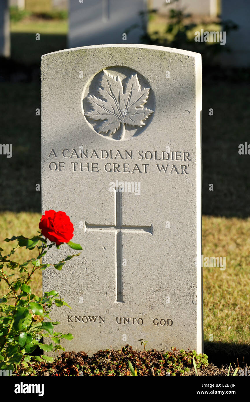 Frankreich, Pas-De-Calais, Loos En Gohelle, militärischen Friedhof von britischen Soldaten, rote Rose am Grab eines kanadischen Soldaten Stockfoto