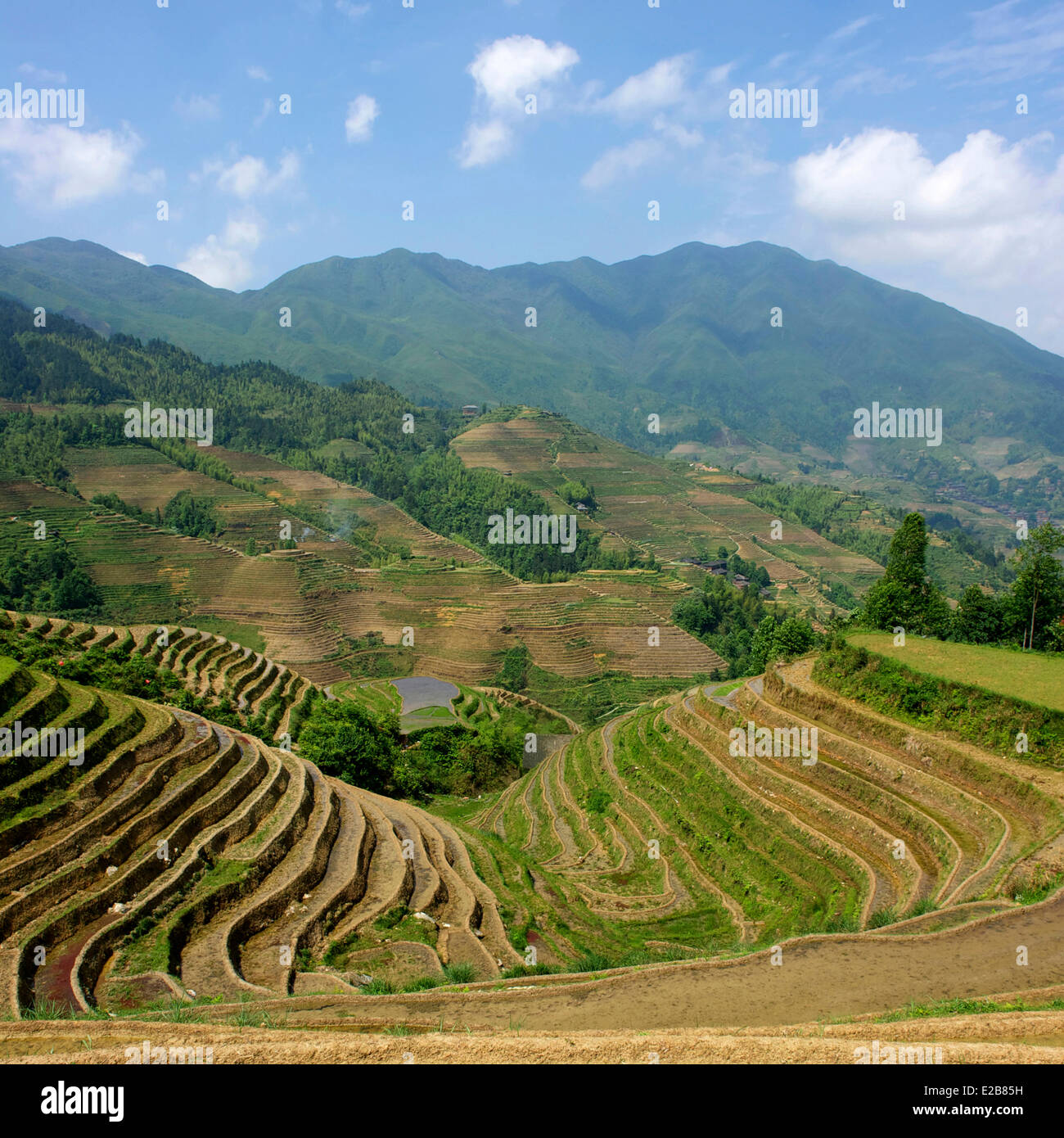 China, Provinz Guangxi, Longsheng, bei Longji Reisterrassen Stockfoto