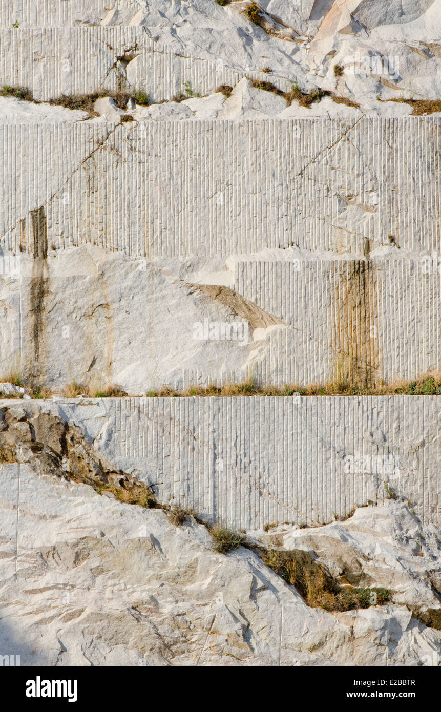 Stecklinge in Wand aus Marmor mine in Mijas, Südspanien. Stockfoto