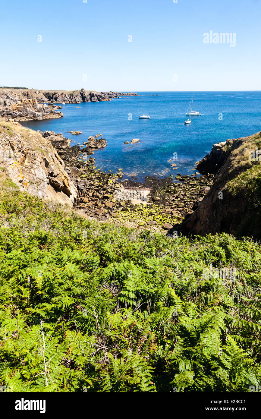 Frankreich, Vendee, Ile d'Yeu, Farne und die wilde Küste Stockfoto