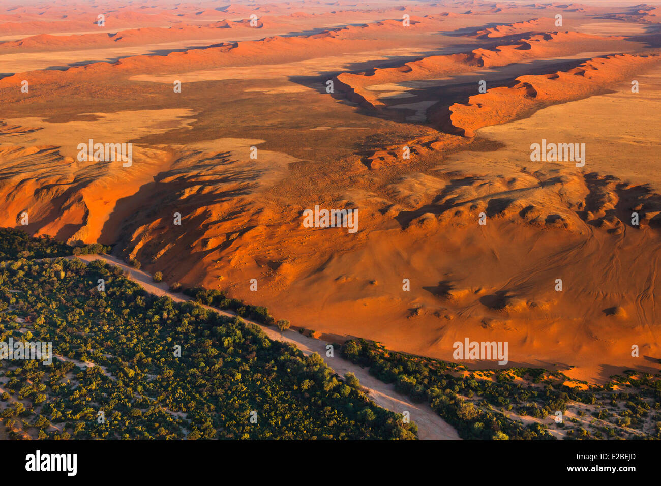 Namibia, Erongo und Hardap Regionen, der Kuiseb Flusstal, Namib Naukluft National Park, Namib-Wüste, Umgebung von Homeb, Stockfoto