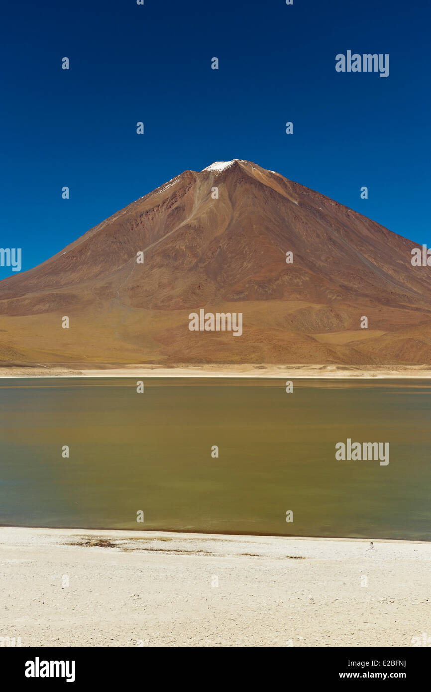 Bolivien, Potosi Department, Sur Lipez Provinz Eduardo Avaroa Anden Fauna Nationalreservat, Licancabur Vulkan auf ruhigen Gewässern des Laguna Verde Stockfoto