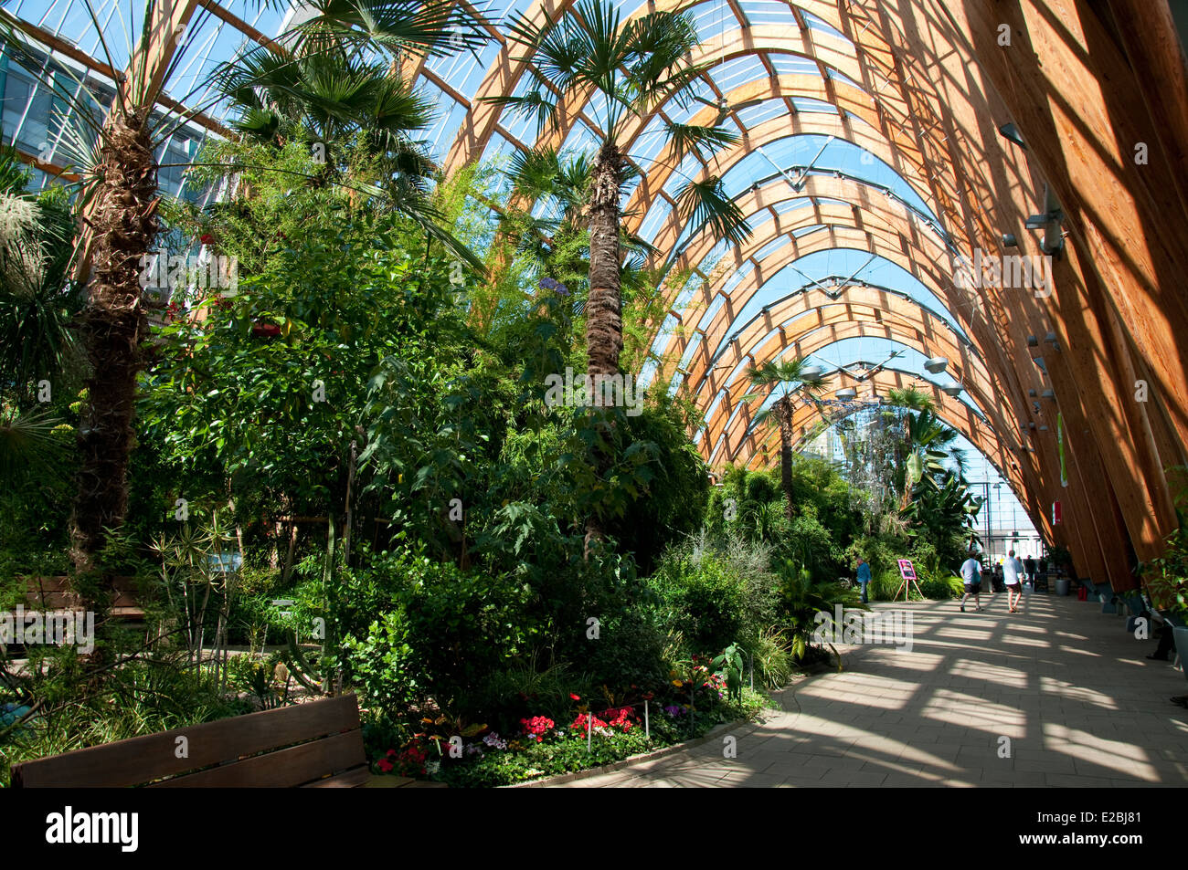 Der Wintergarten in Sheffield, South Yorkshire England UK Stockfoto